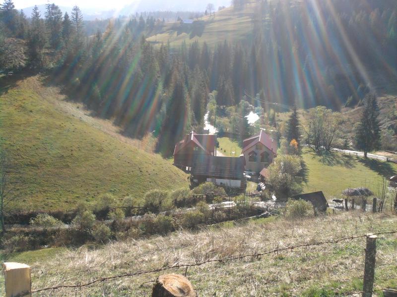 Pensiunea Sofy Arieşeni Dış mekan fotoğraf